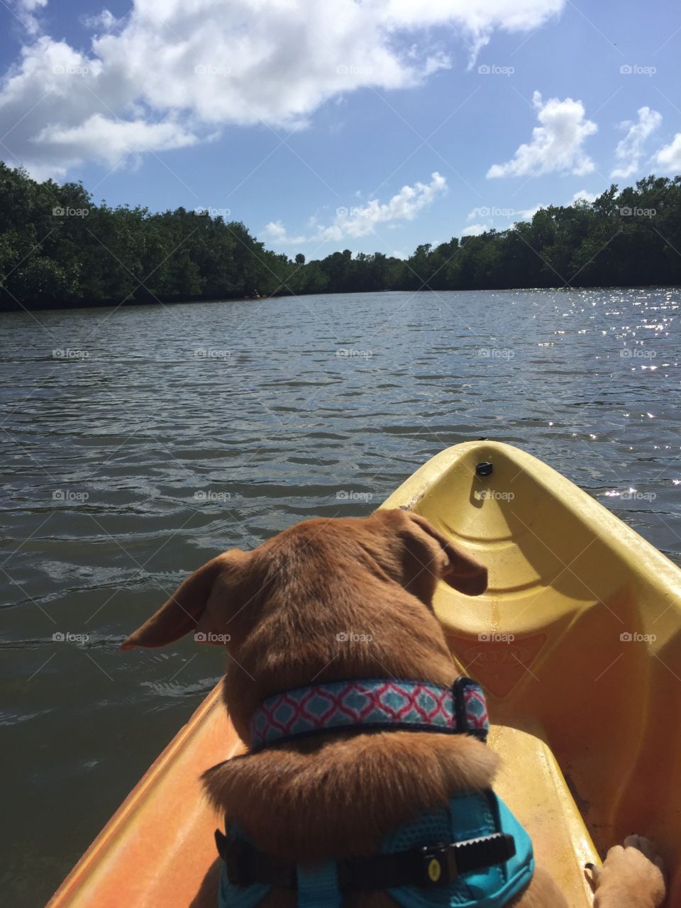 Kayaking with Chloe