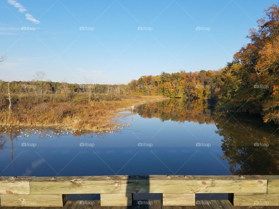 the change in seasons brings change in the colors of the trees in Maryland wilderness