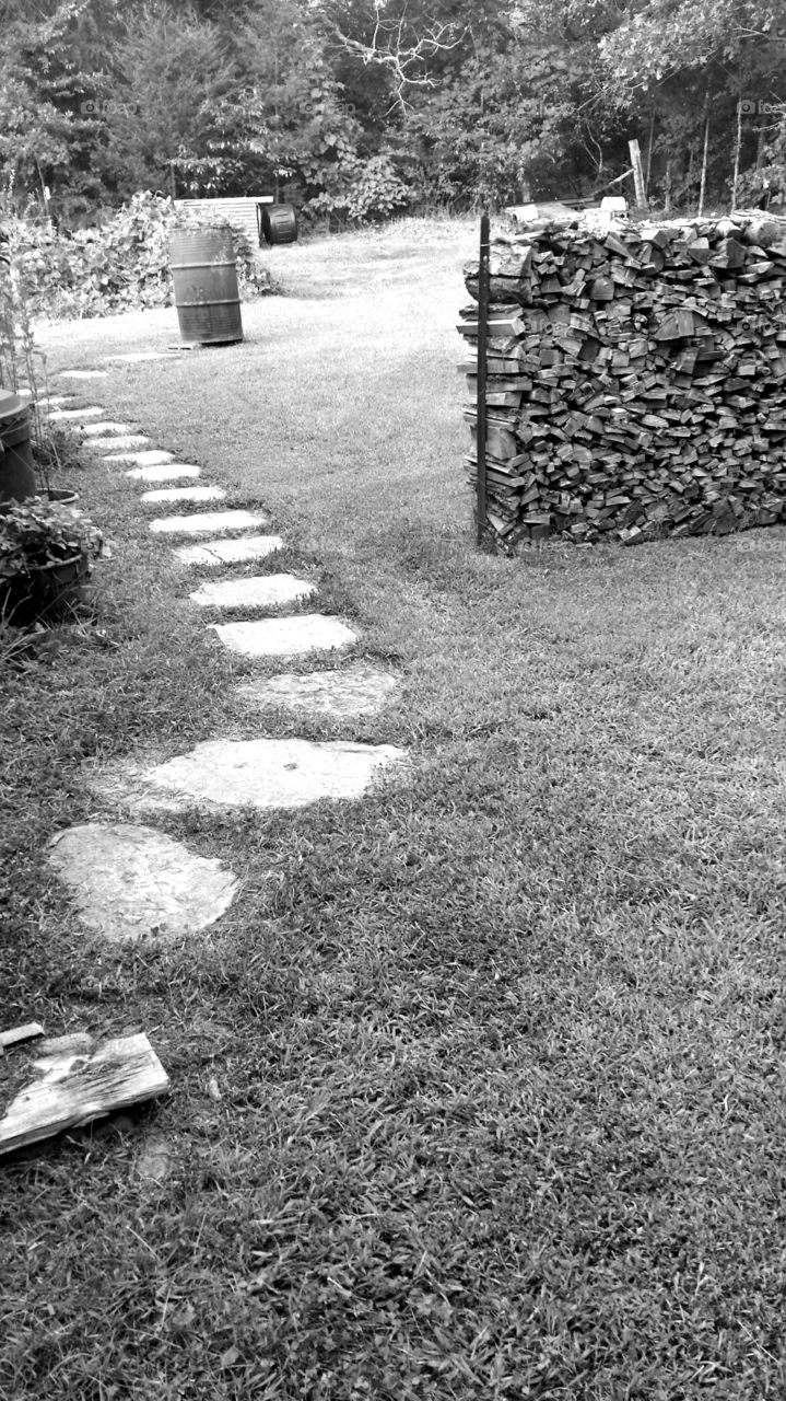 Flagstone Path. Through the yard