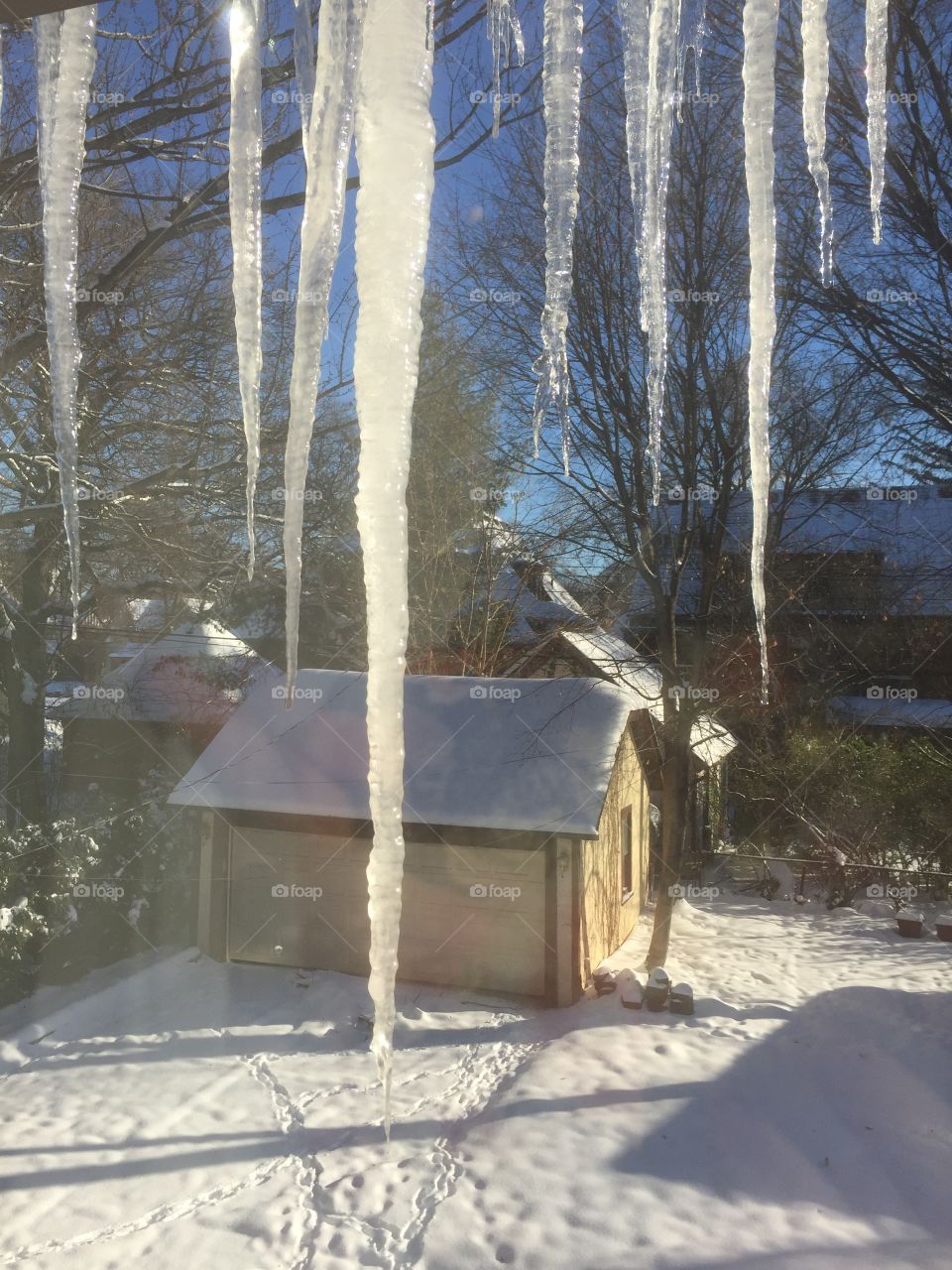 Long icicle in sunlight