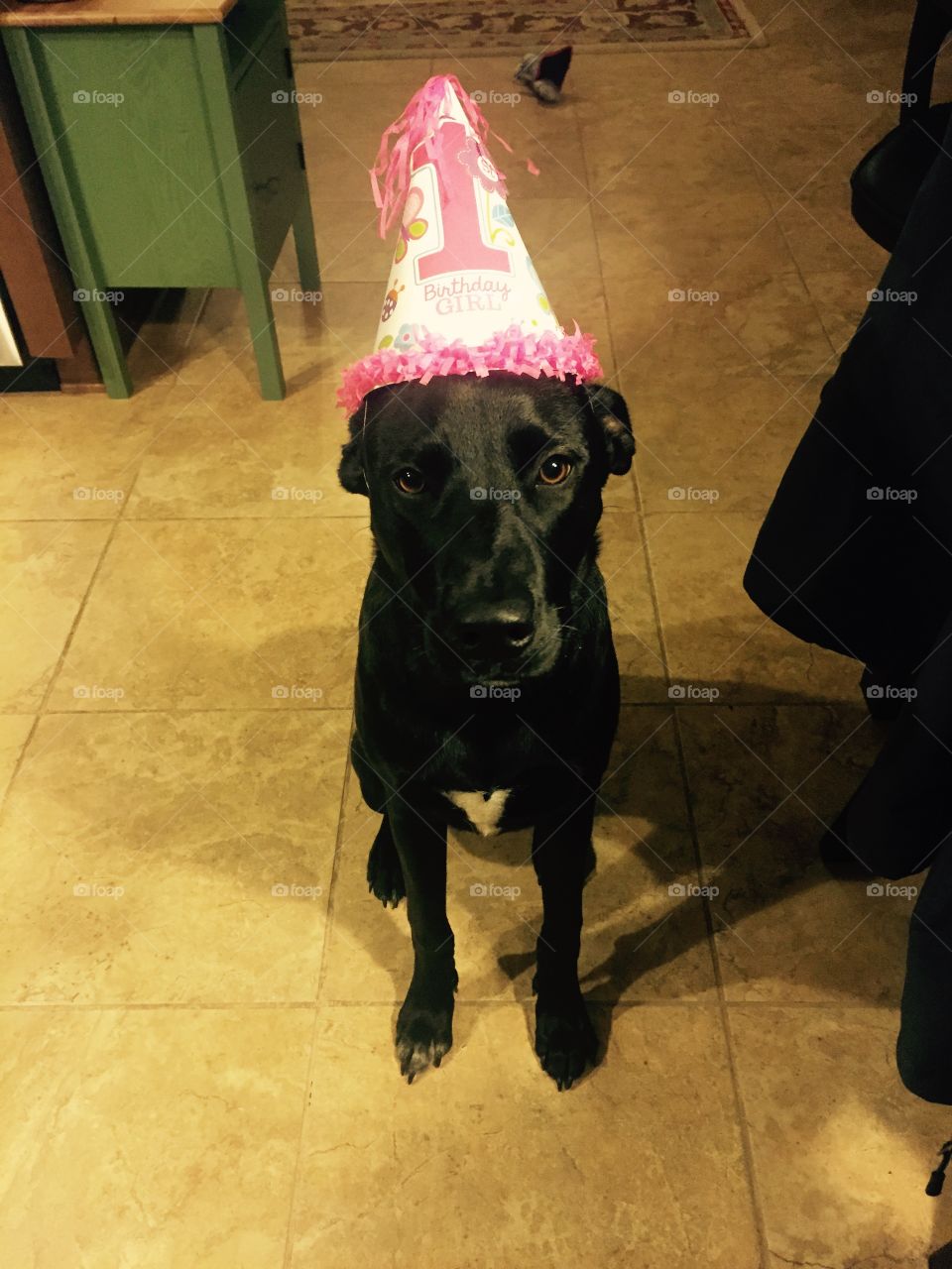 Athena's First Birthday!