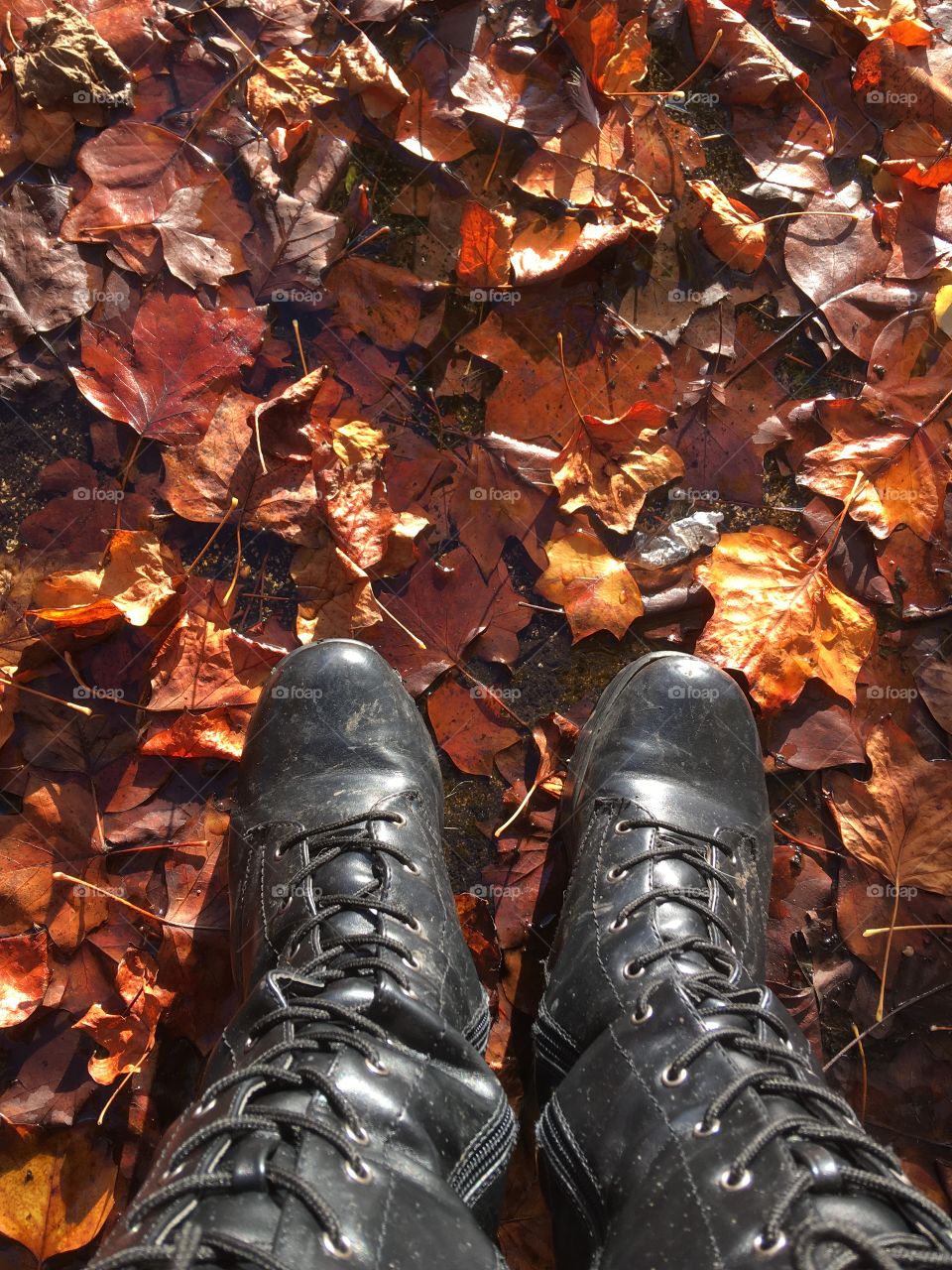 Boots on autumn leaves 