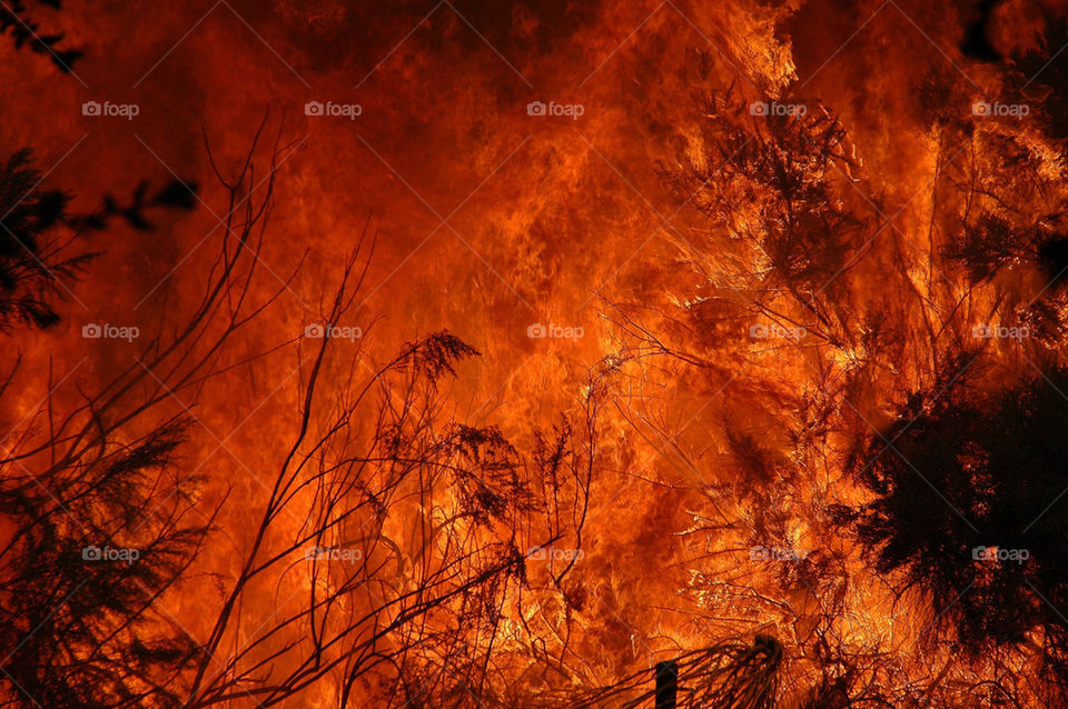 nature hot fire heat by illusionfactory