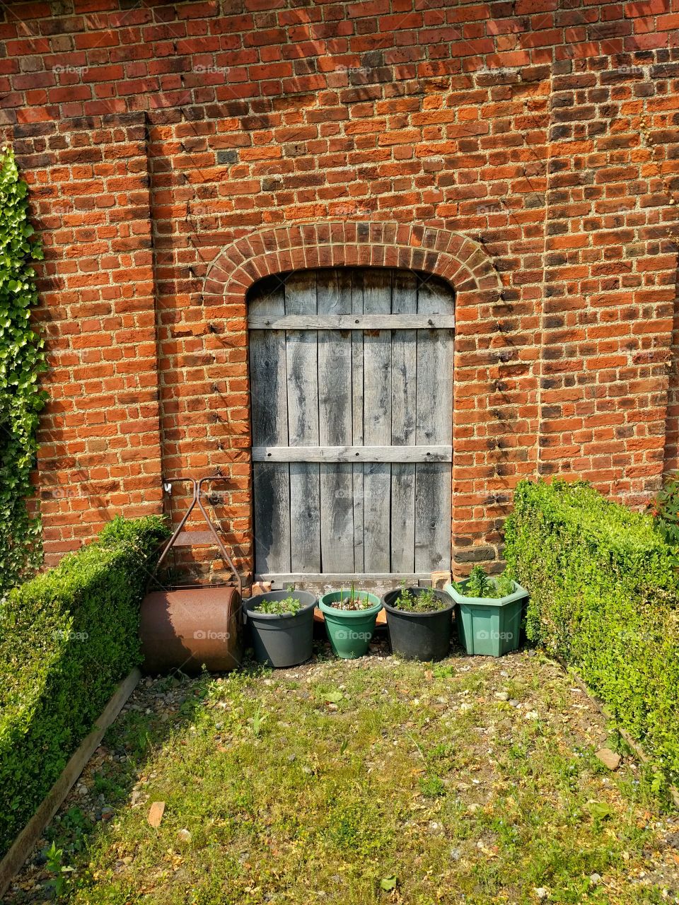 A crooked wooden door in an English walled garden