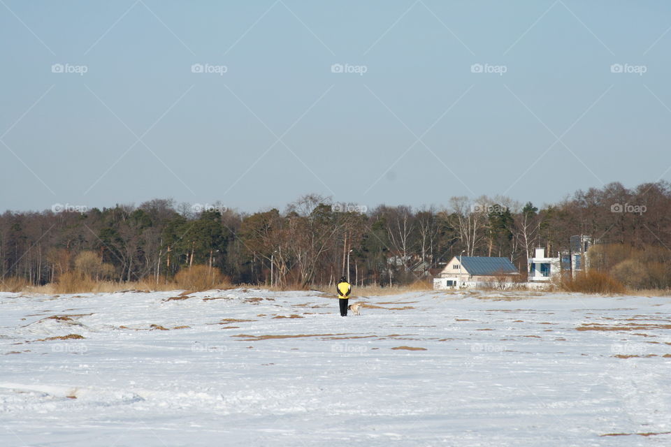 Winter landscape 