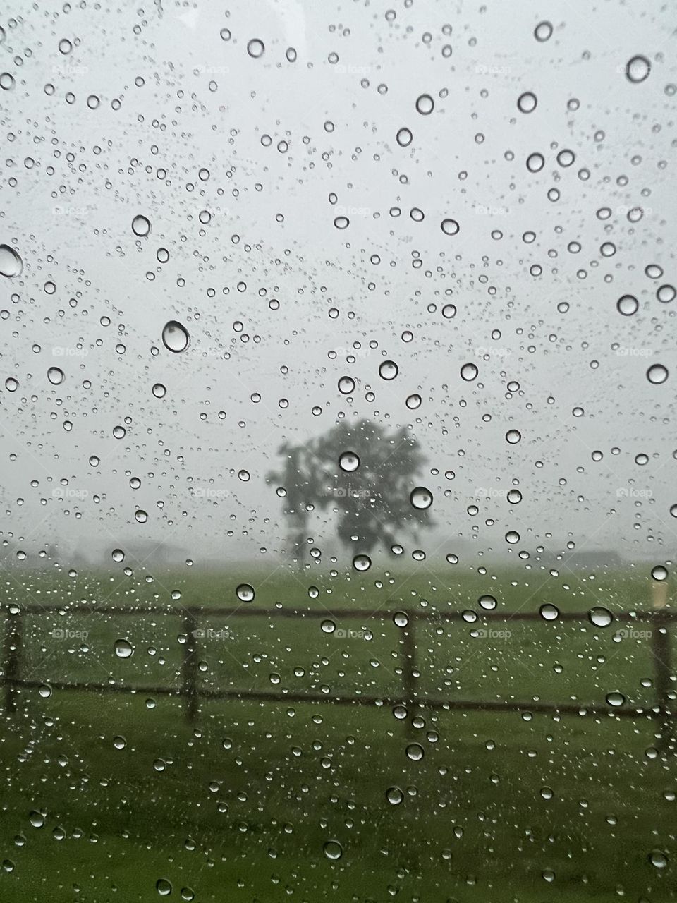 Looking out the car window on a rainy day 