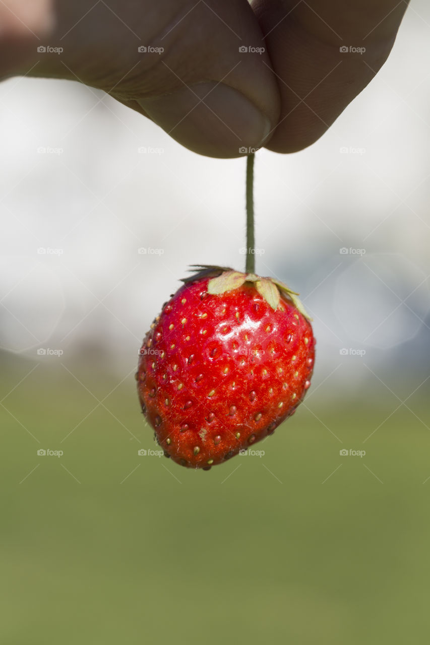 Strawberry