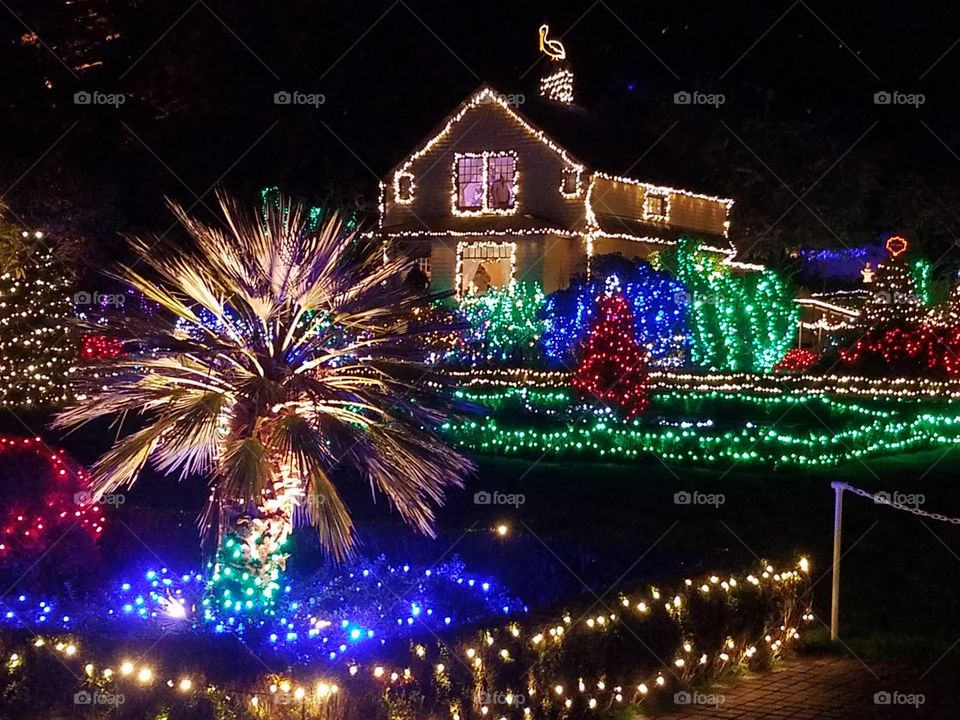 Holiday Christmas lights in Charleston Oregon