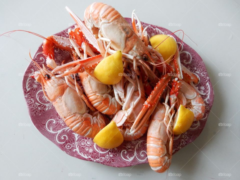 Norway lobster . Fresh Norway lobster 