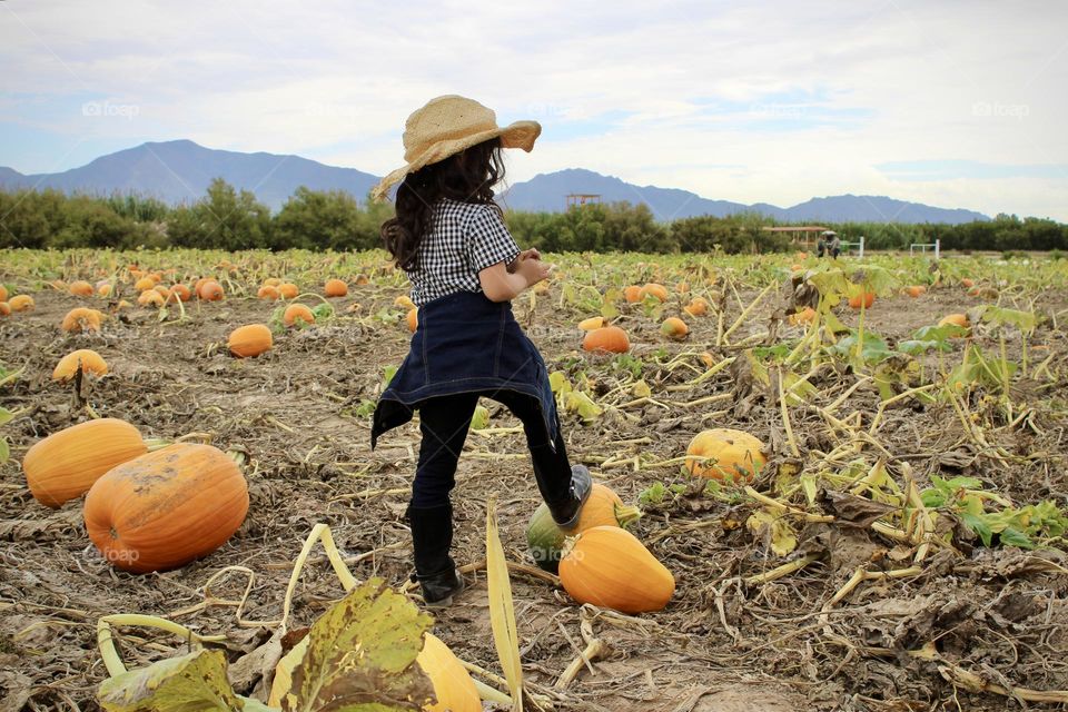 Vacations in the Pumpkin Patch 