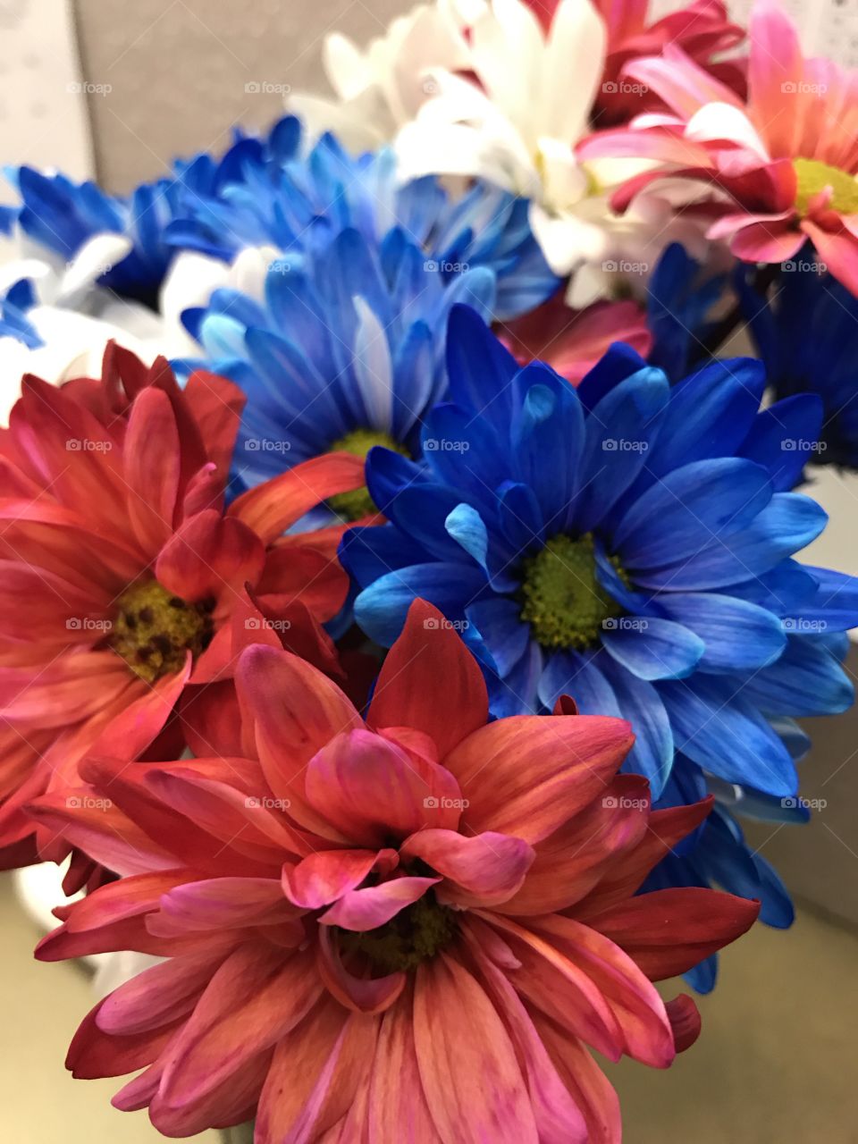 Americana flowers