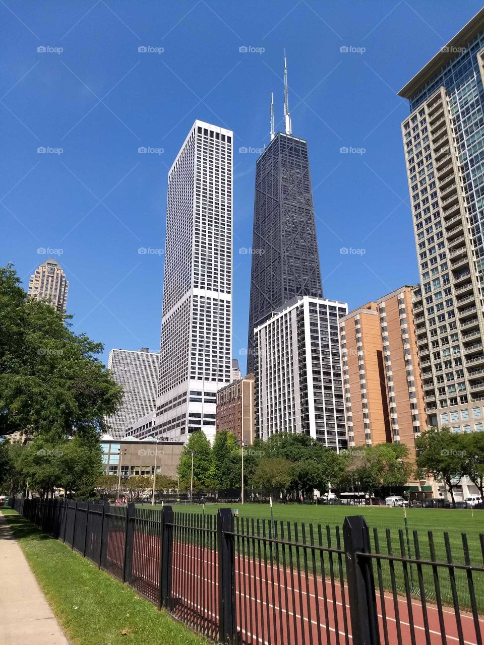 cityscape above Chicago park