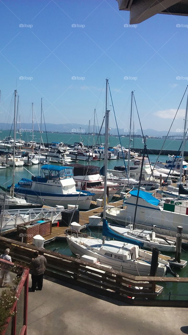 fisherman's wharf in San Francisco