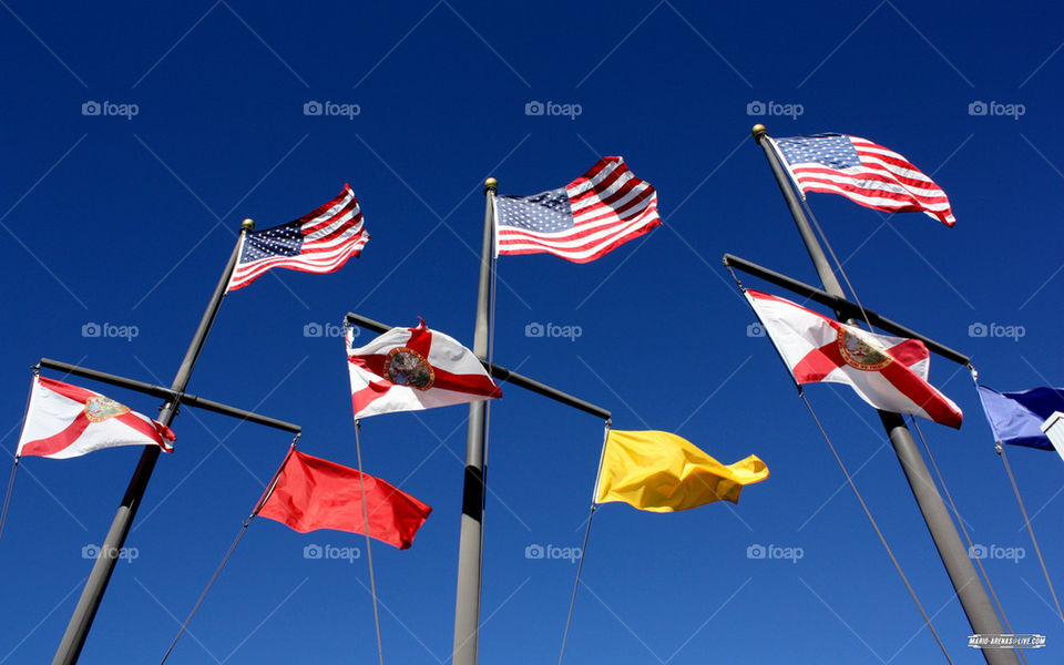 Freedom Flags