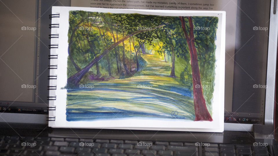 Direction of light and how it affects the environment.