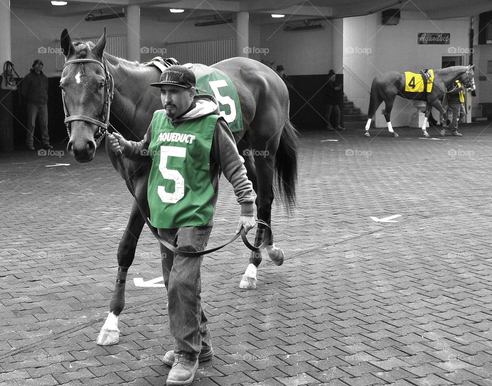 zazzle.com/fleetphoto at Aqueduct. Shoe Loves Shoe Sagamore Racing Stables