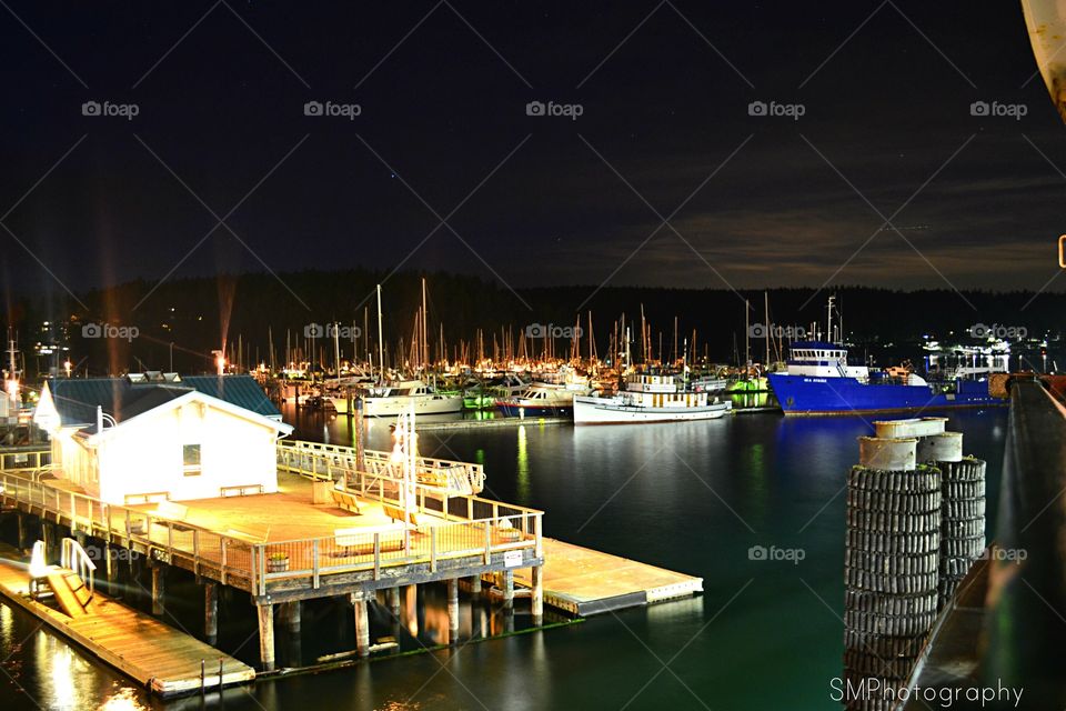 Night time marina