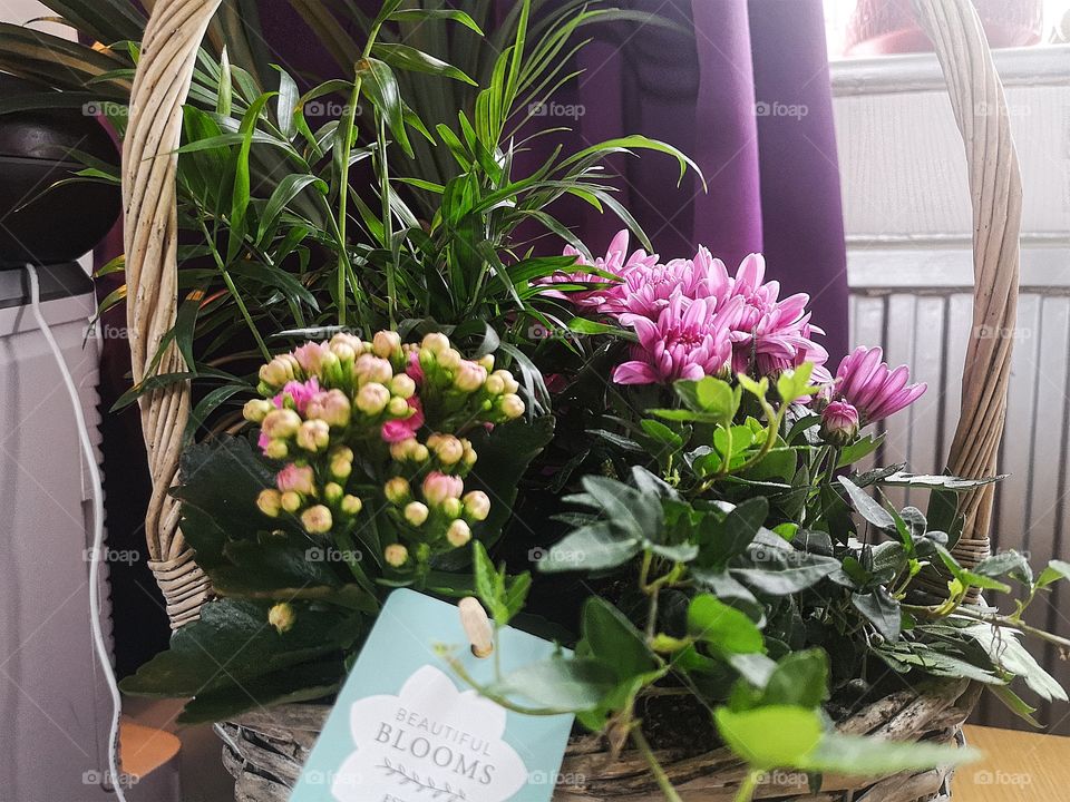 flowers for my mother for Mother's Day