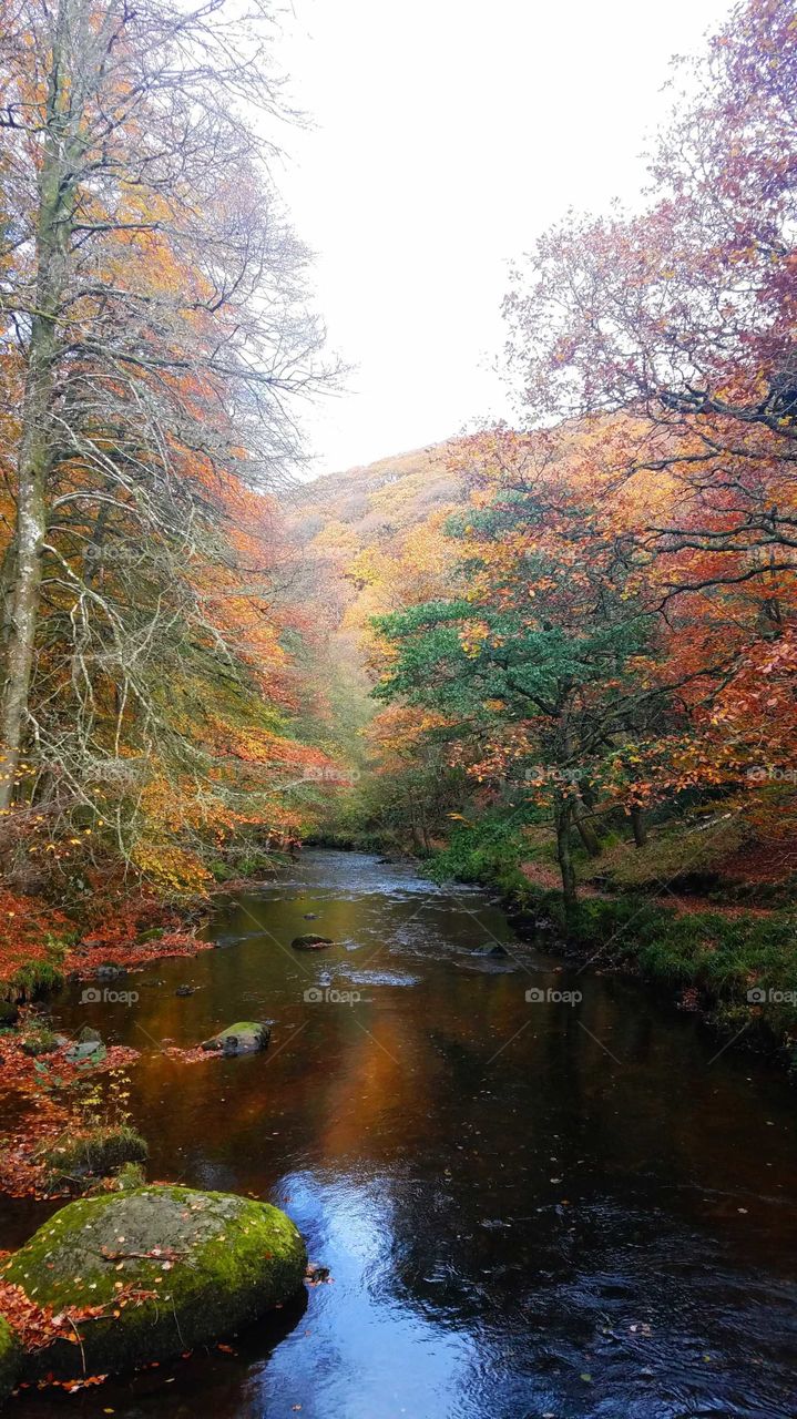 Lynton, North Devon