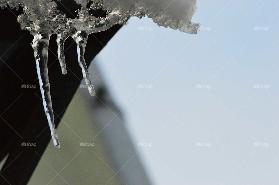 icicles - winter details