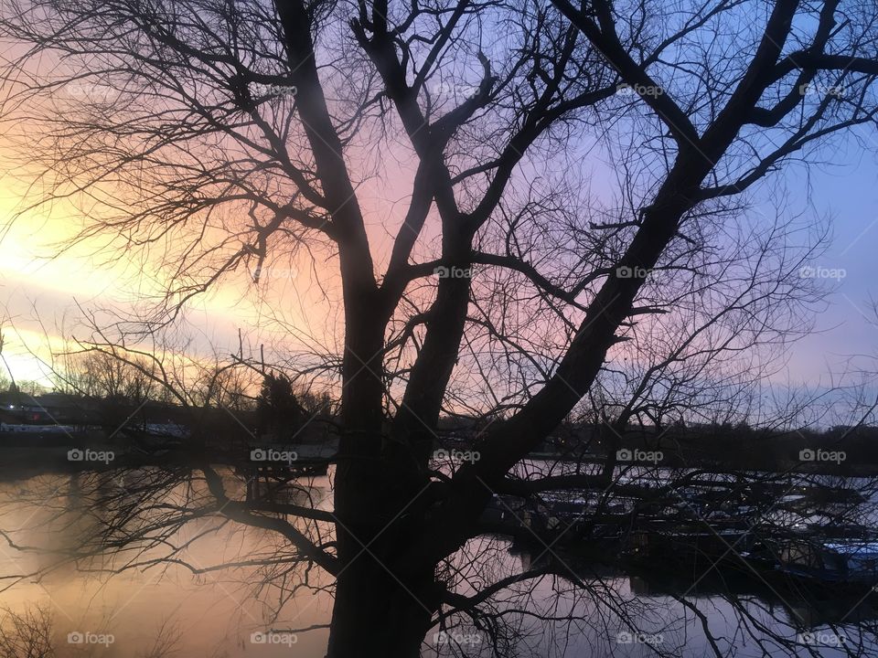 View of a tree overlooking one of the lakes by the River Nene, from the Premier Inn Hotel, Great Billing, Northampton. Visited in Winter.