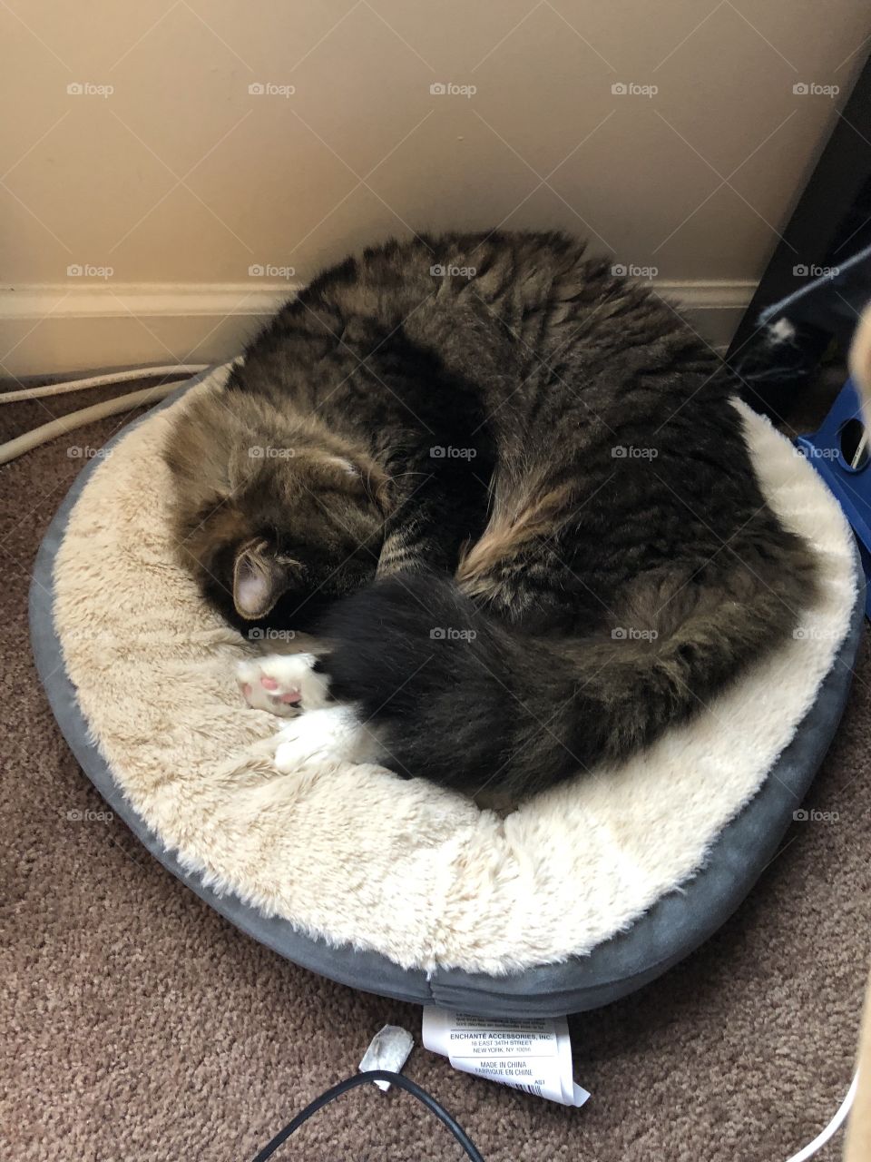 Sleepy time in the new bed
