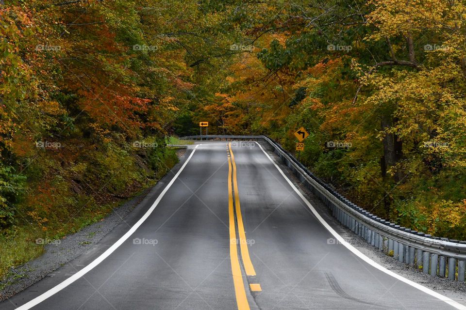 On the Road in Fall