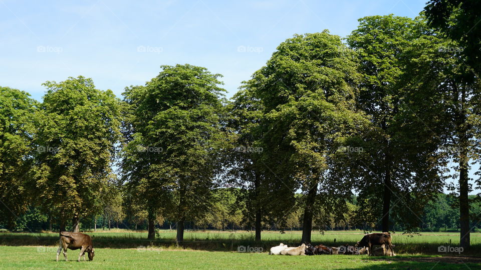 Farmland in Belgium.