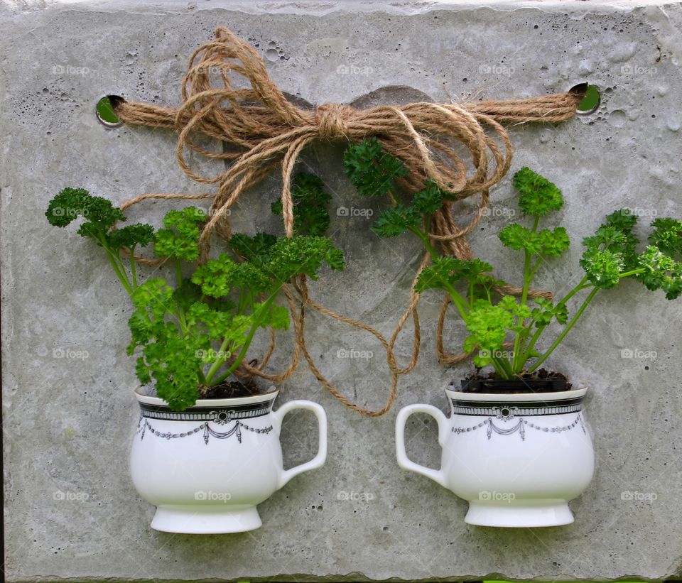 Homemade outdoor herb planter using cement concrete slab, old china teacups and jute twine 