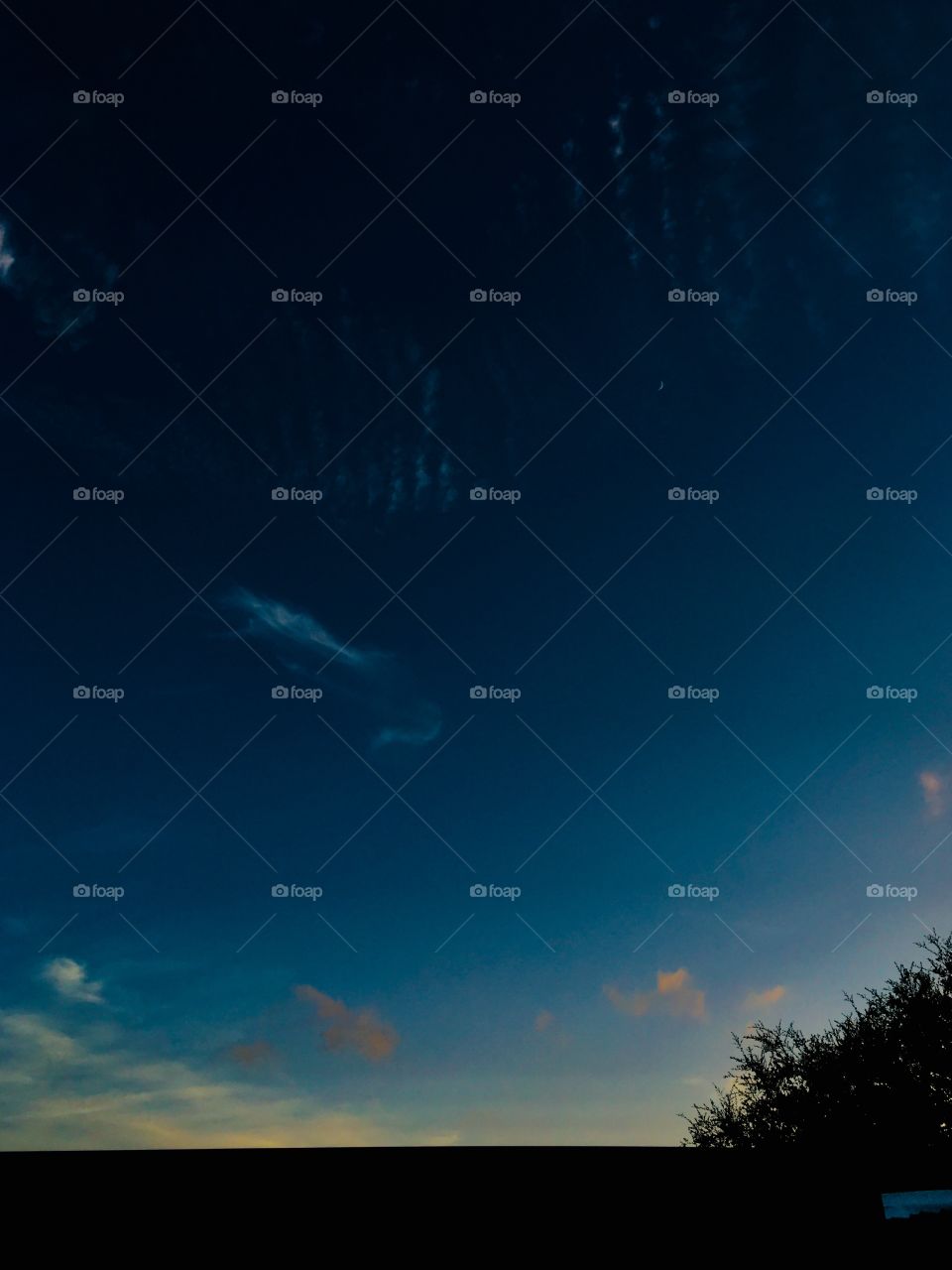 Moon Clouds and Tree 