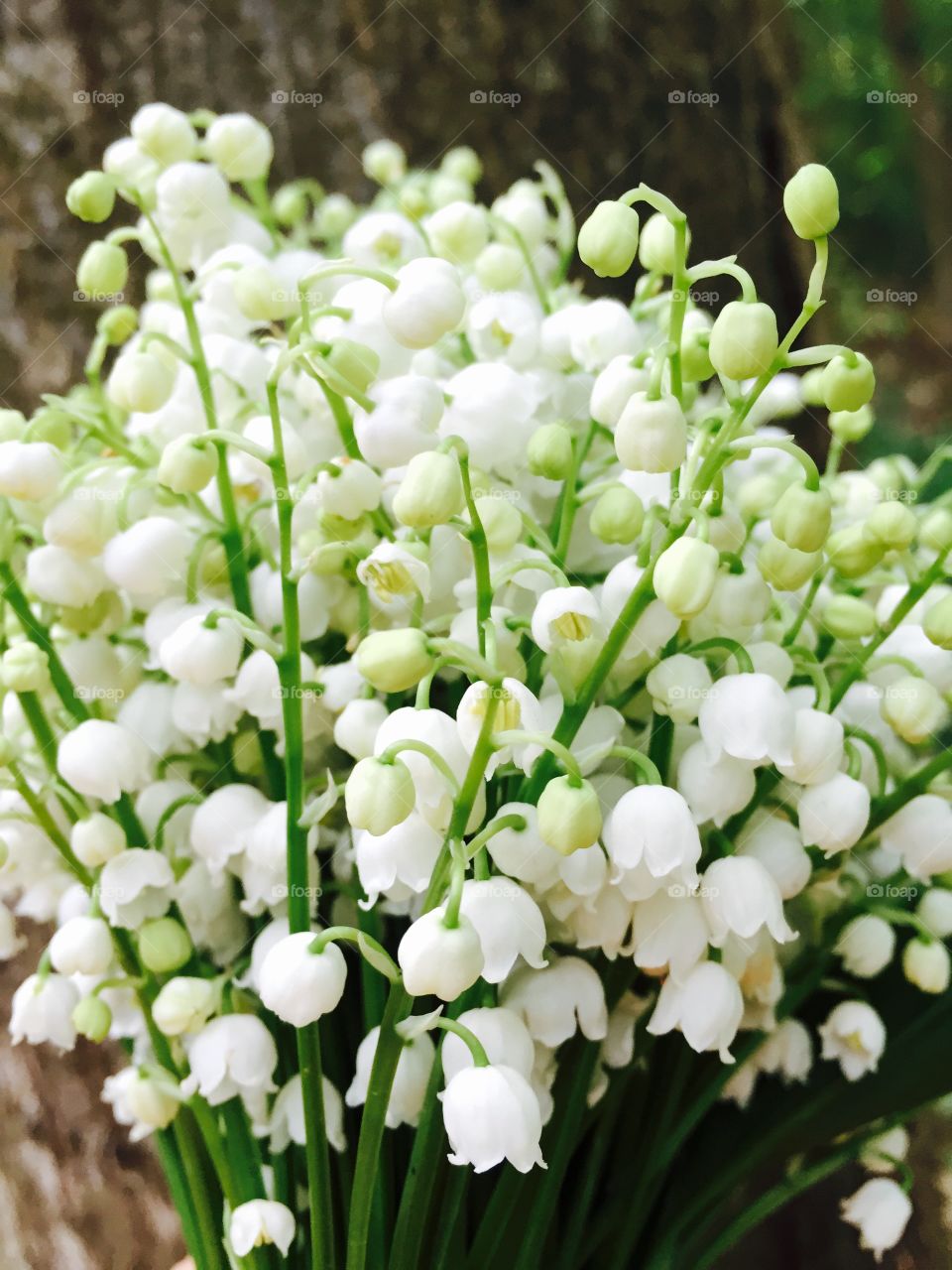 Lily of the valley bouquet