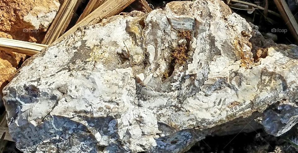 What can we Really see in a Rock