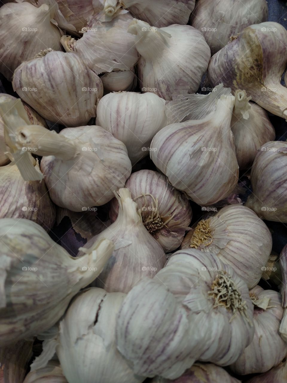 Fresh market garlic.