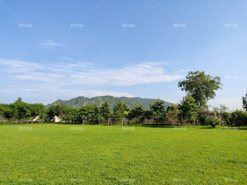 View of mountain and the lawn with plants