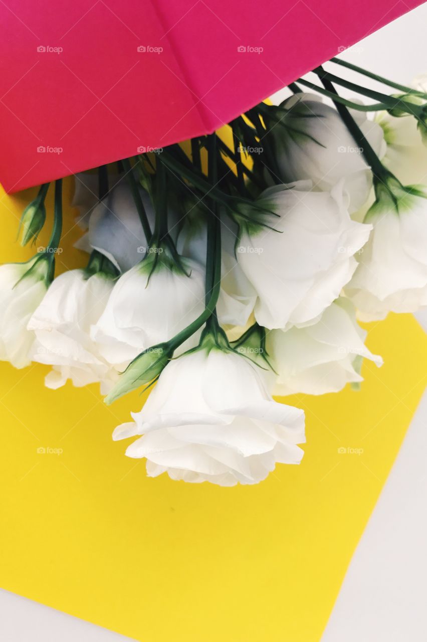 Top view of white flowers in pink box on white and yellow background. Copyspace 