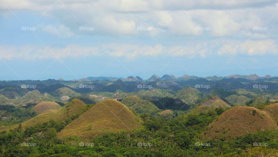 Chocolate hills