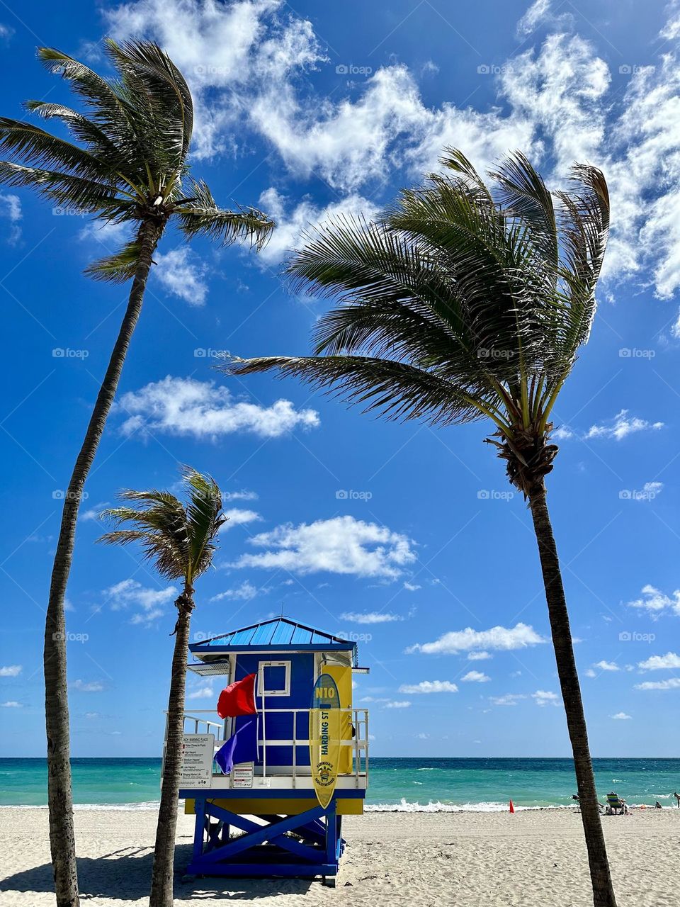 Beautiful beach to relax at - Hollywood North Beach - blue sky, puffy white clouds and palm trees