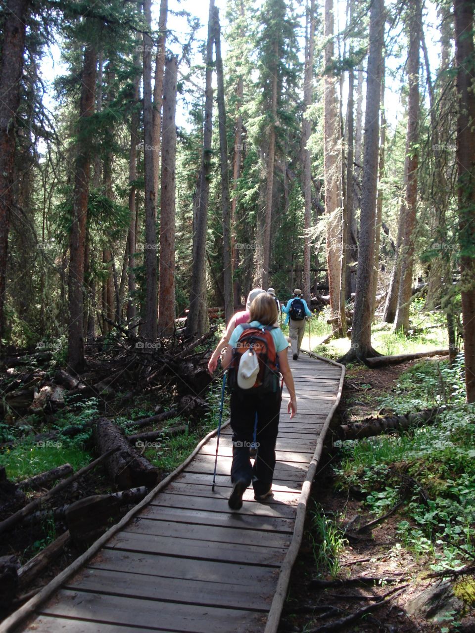 Hiking near Breckenridge 