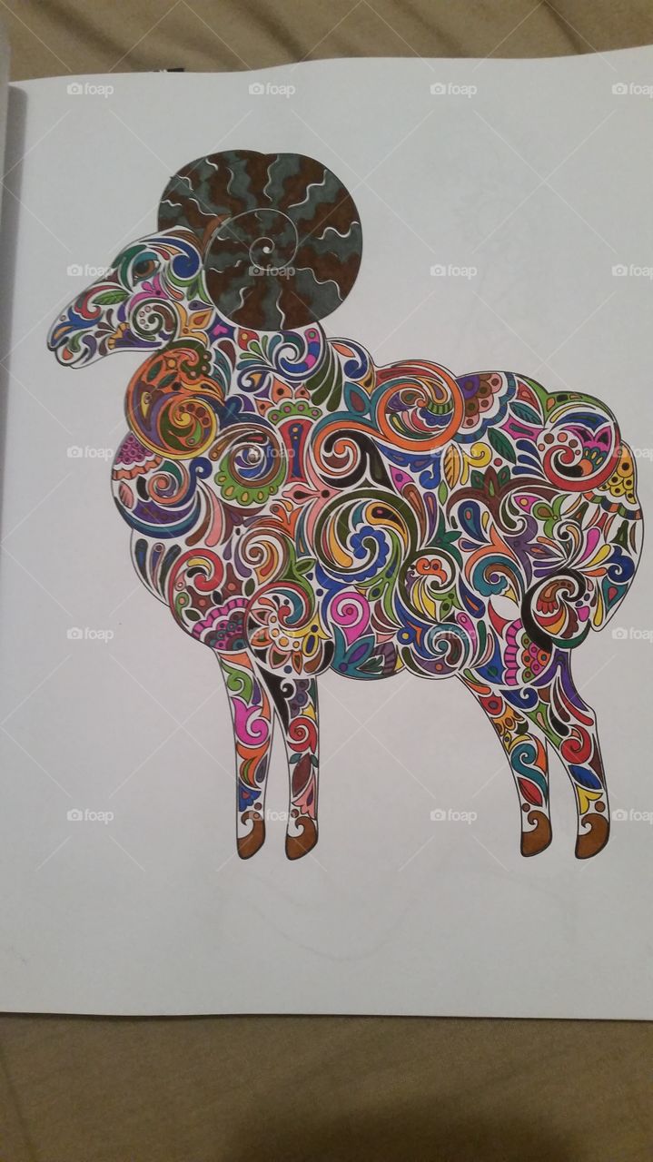 adult coloring book of a ram