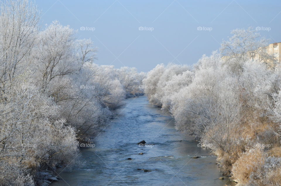 River flowing through winter trees