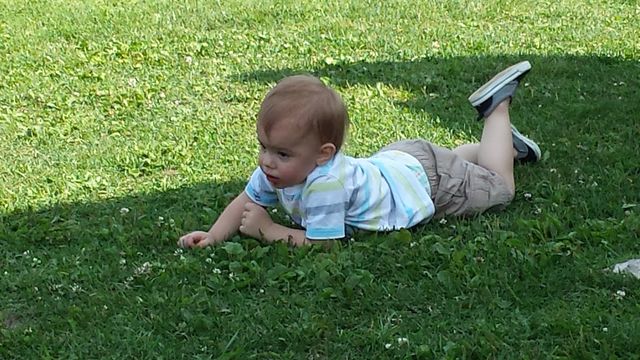 Grass, Child, Lawn, Park, Summer
