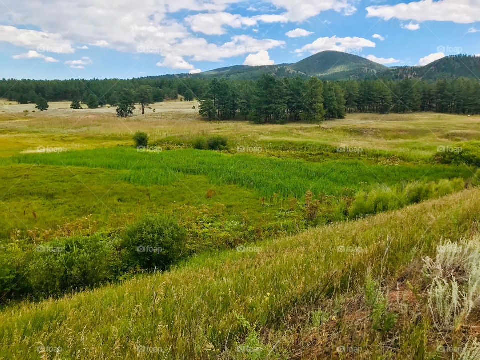 View from one of the trails at Manitou Lake near woodland park, Colorado. Beautiful place for hiking, running, fishing, kayaking and camping