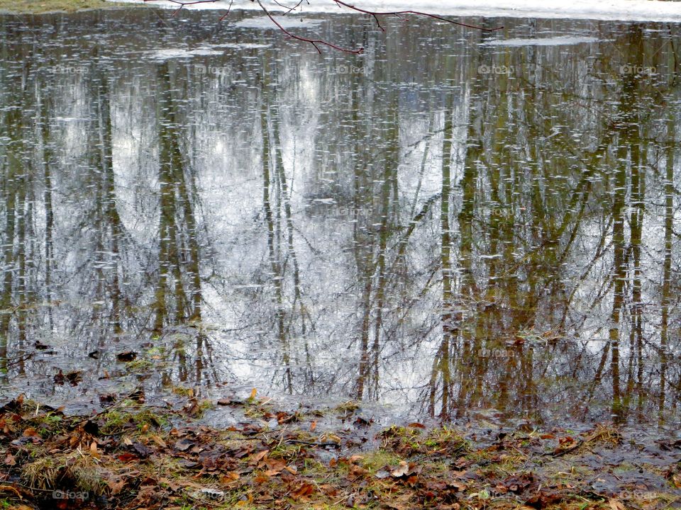 View of lake