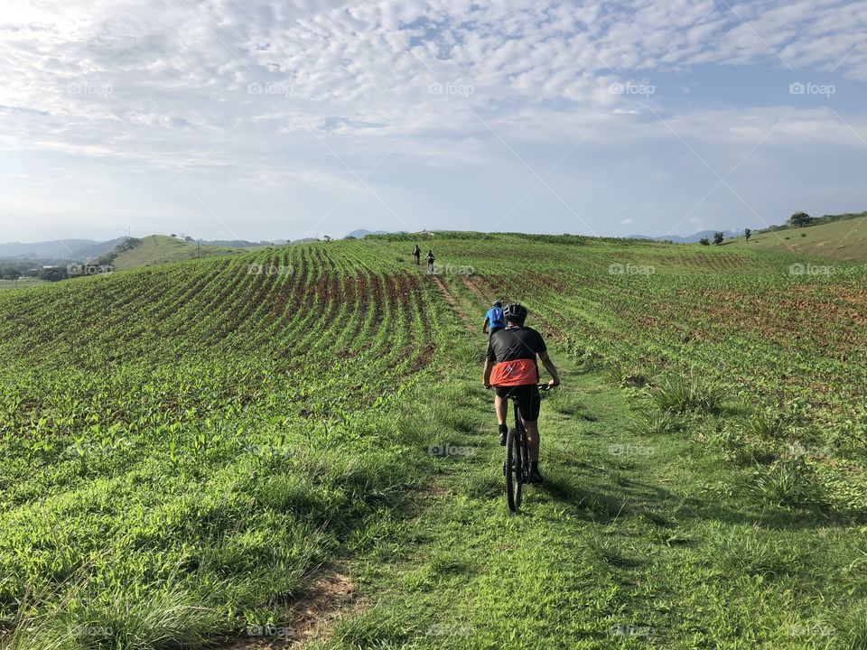 Trilha de bike. Brasil.