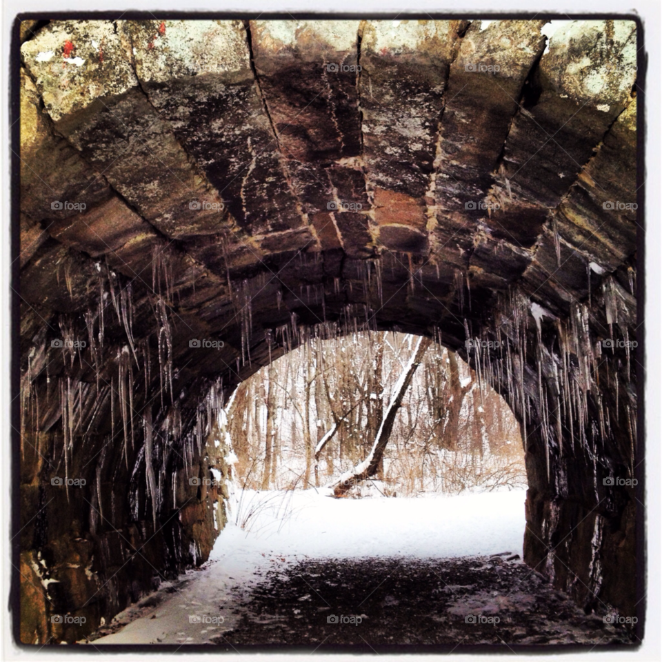 winter tunnel nature bridge by tophvswild