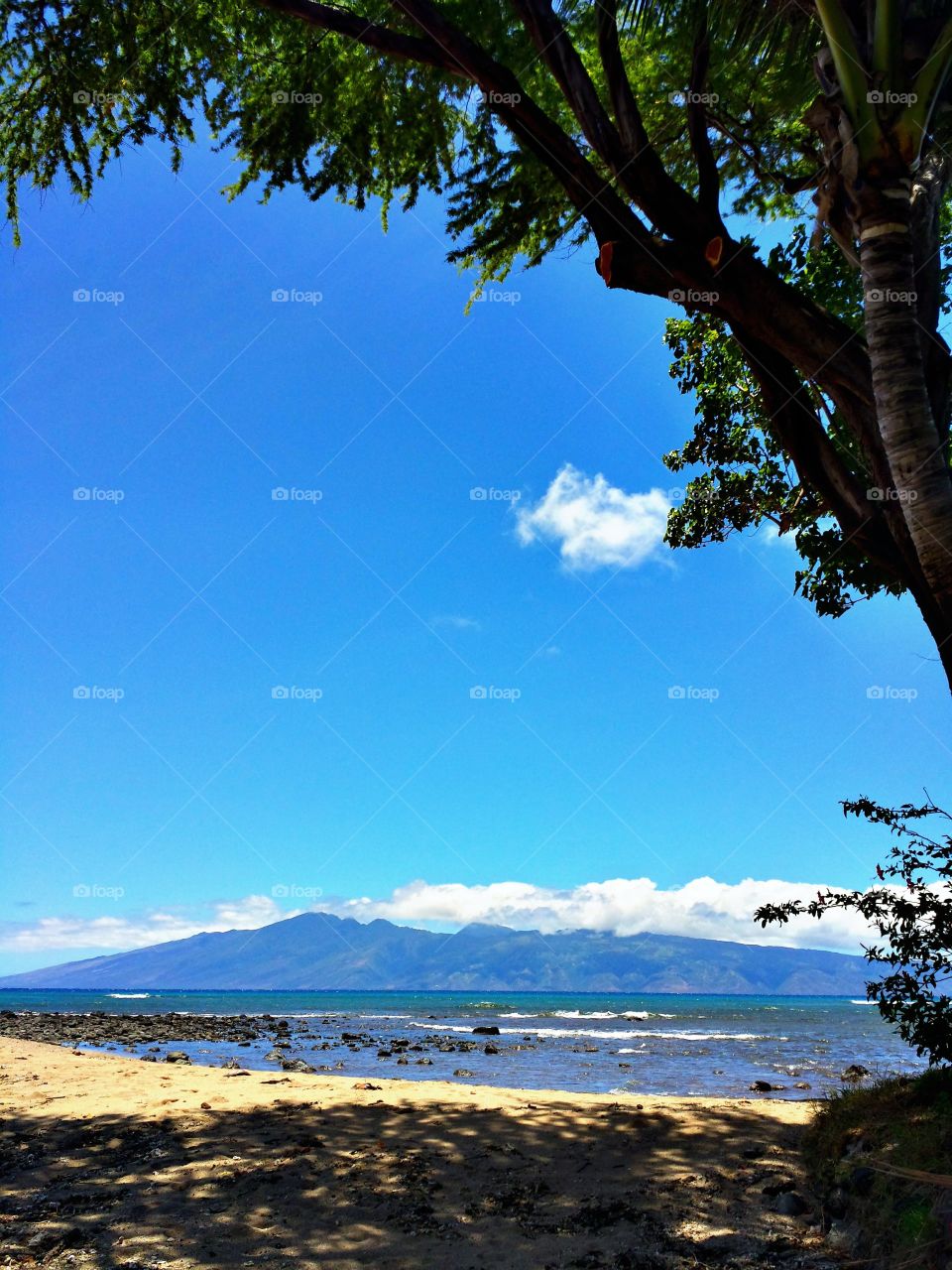 Scenic view from island