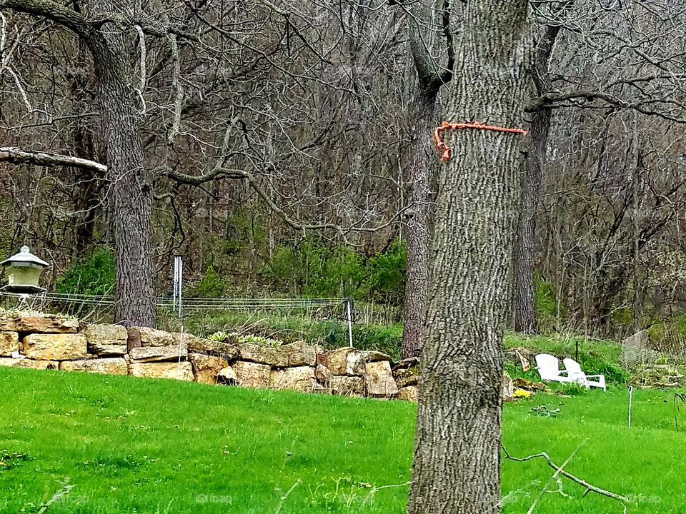 Driving the back Roads and enjoying everything around us