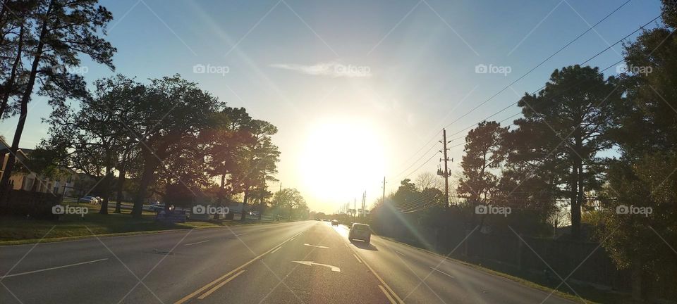 Spring 🌞 ☀️ Sunshine !