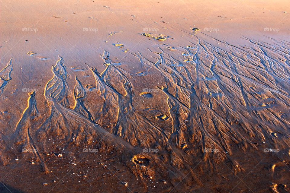 Designs in the sand. 