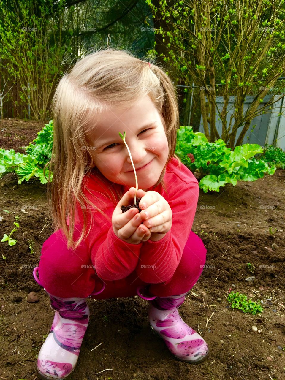 Seed planting